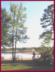 View of Lake Murray, SC from Dottie Gantt's Studio